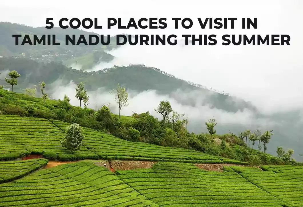 5 Cool Places to Visit in Tamil Nadu During This Summer