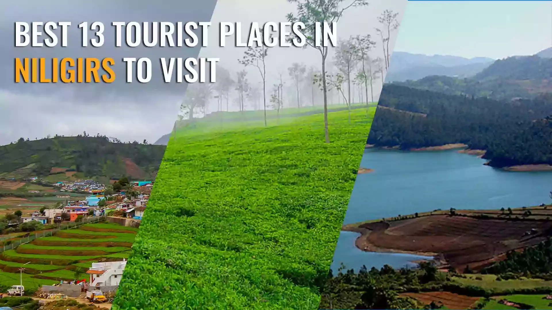 Best 13 Tourist Places in Nilgiris to visit during Summer